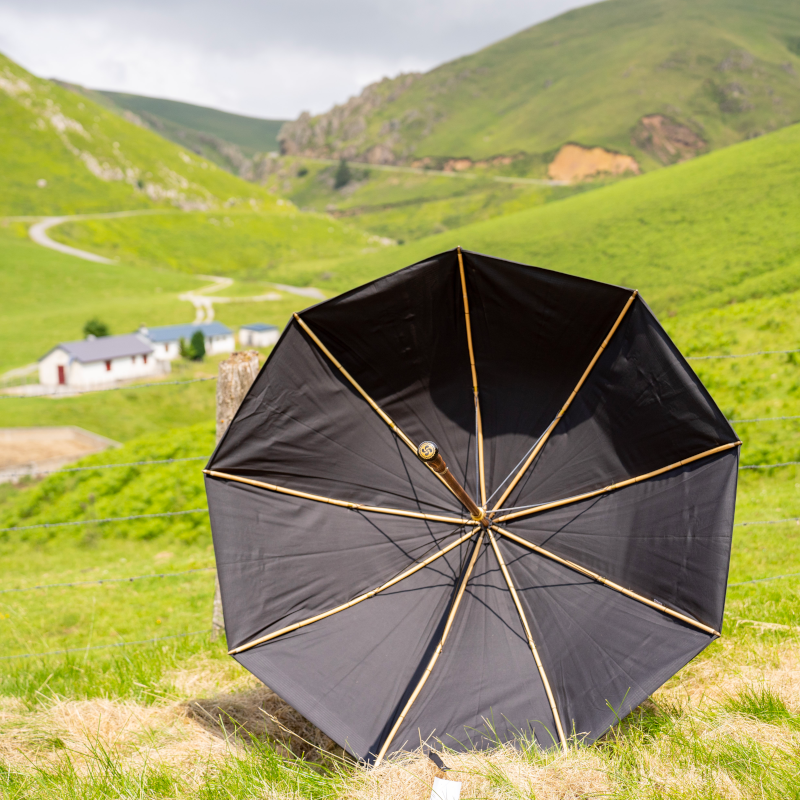 parapluie du berger-10 LE PARAPLUIE DU BERGER BASQUE REALISÉ PAR TALAIA