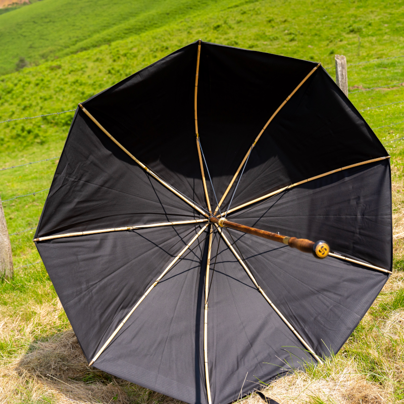 parapluie du berger-3 LE PARAPLUIE DU BERGER BASQUE REALISÉ PAR TALAIA