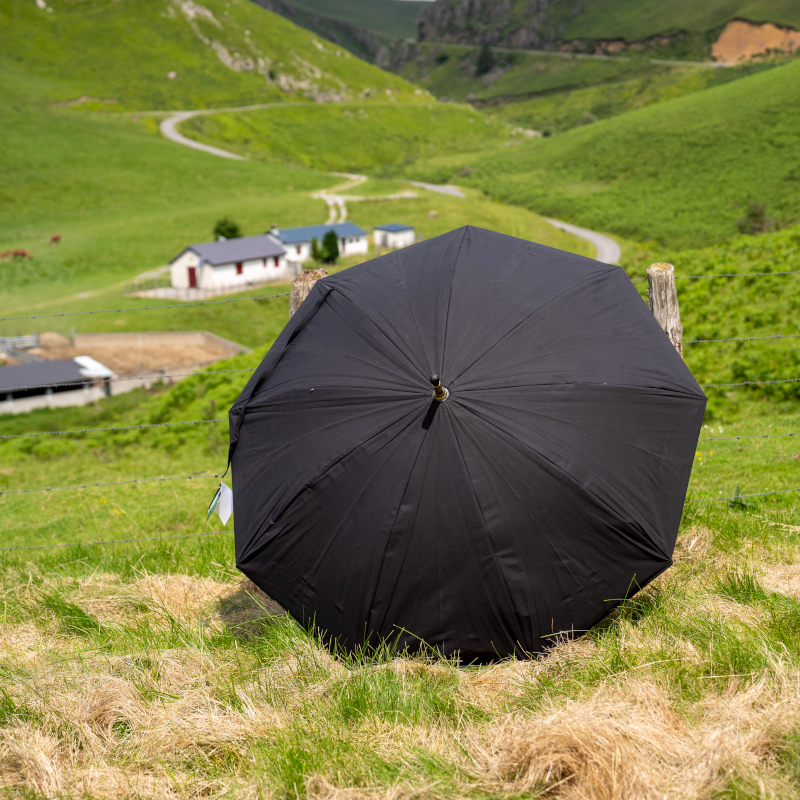 parapluie du berger-7 LE PARAPLUIE DU BERGER BASQUE REALISÉ PAR TALAIA